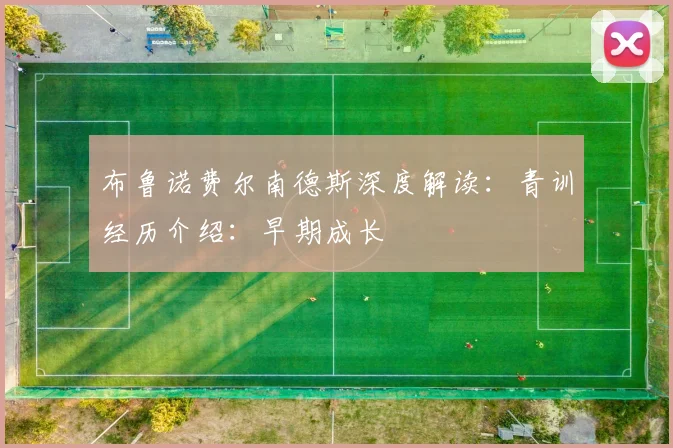 布鲁诺费尔南德斯深度解读：青训经历介绍：早期成长